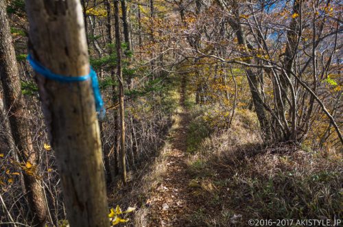 精進峠から三方分山へ紅葉ハイキング