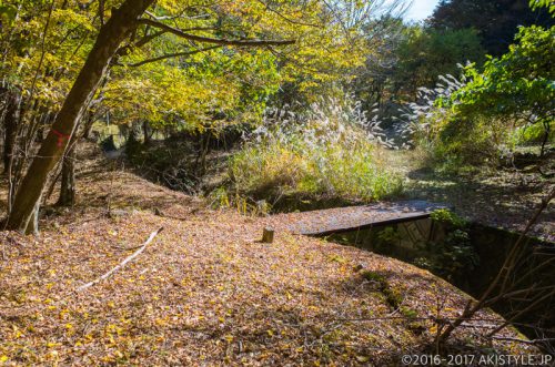 精進峠の登山道