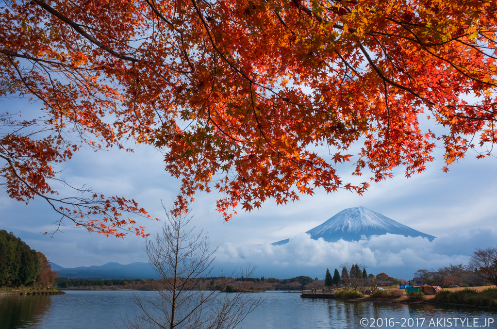 田貫湖の紅葉と富士山