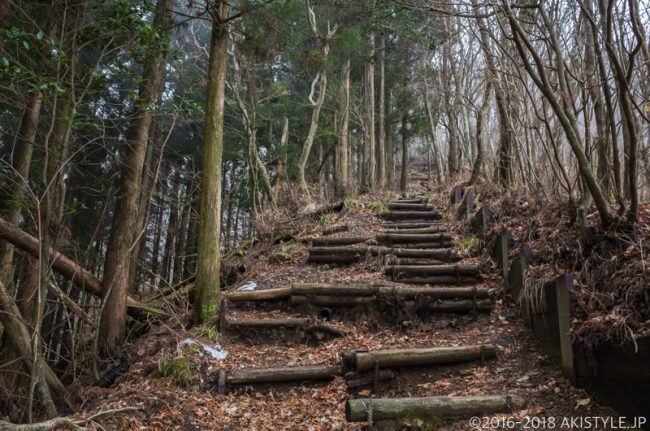 竜爪山の登山道
