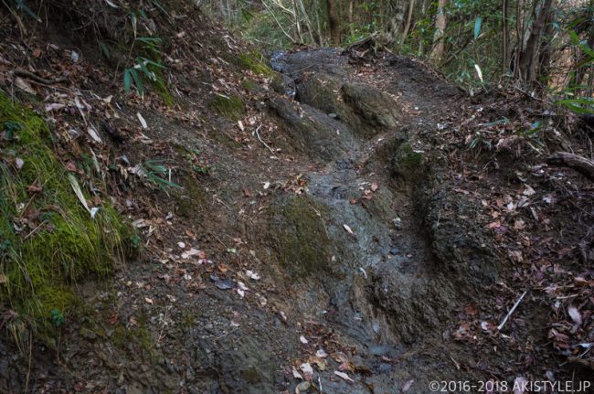 竜爪山の登山道