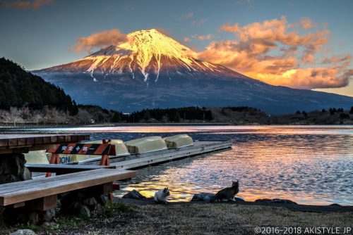 田貫湖からの紅富士