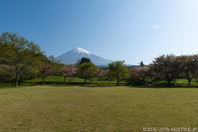 富士山さくらの園