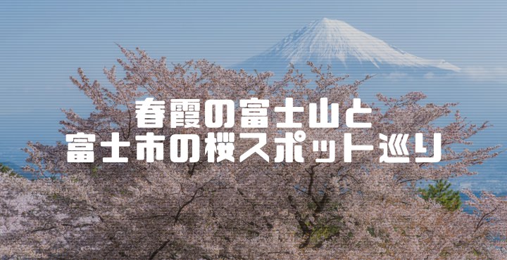富士市の桜スポット巡り