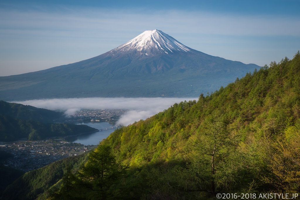 御坂山からの富士山と新緑と雲海