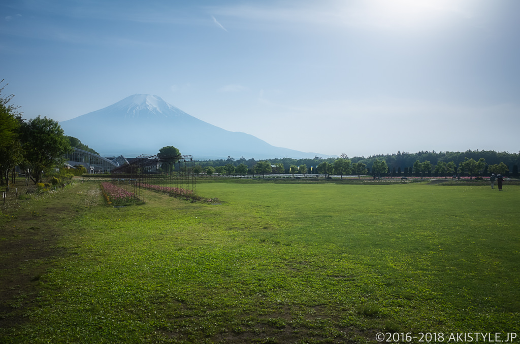 山中湖花の都公園の広場から見る富士山