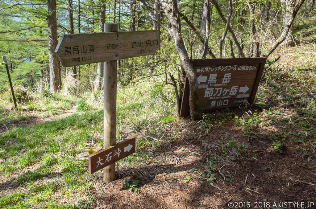 新道峠、分岐点