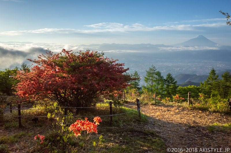 甘利山の富士山撮影ポイント