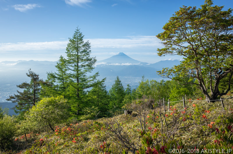 甘利山からの富士山