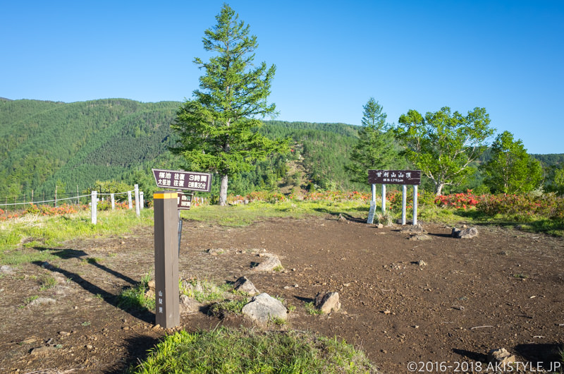 甘利山の山頂