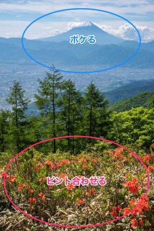 Photoshopで被写界深度合成 前景にも後景にもピントを合わせる方法 アキスタイルフォト