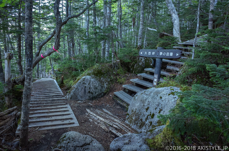 国師ヶ岳の登山道