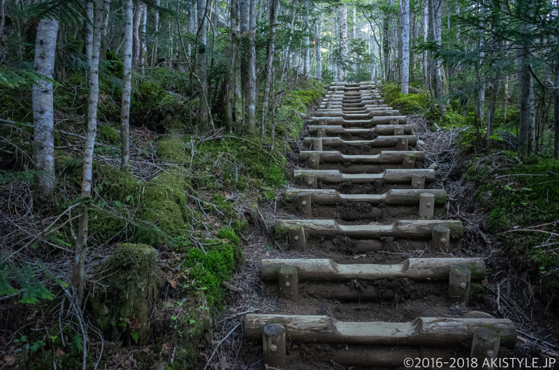 国師ヶ岳の登山道