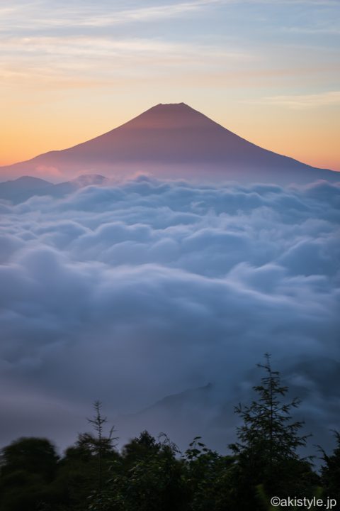 七面山の雲海と富士山