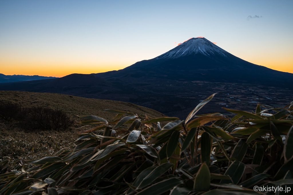 竜ヶ岳から望む富士山