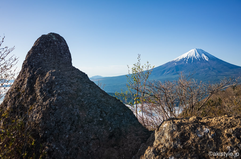 鬼ヶ岳から見る富士山