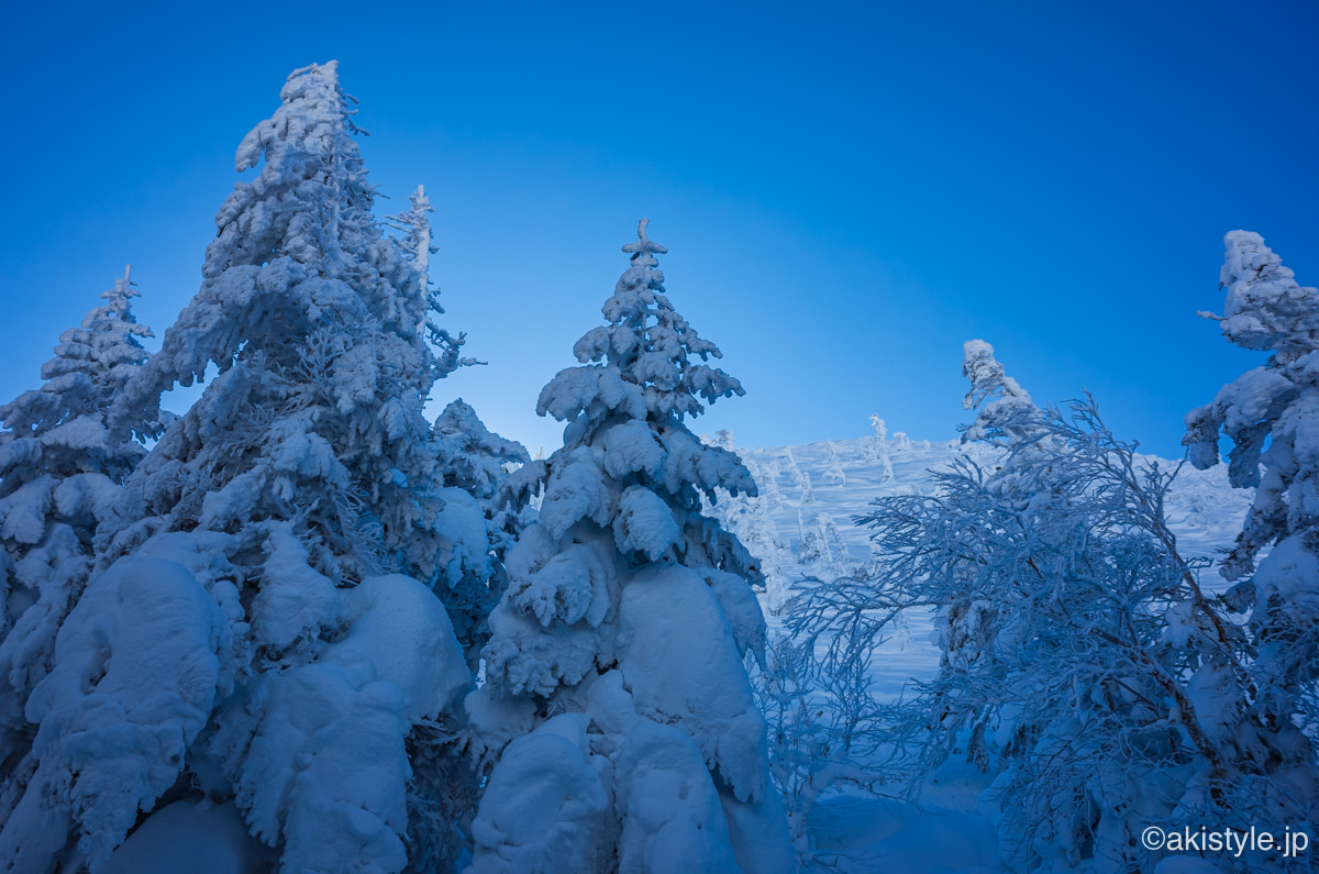 厳冬期の天狗岳と八ヶ岳ブルー