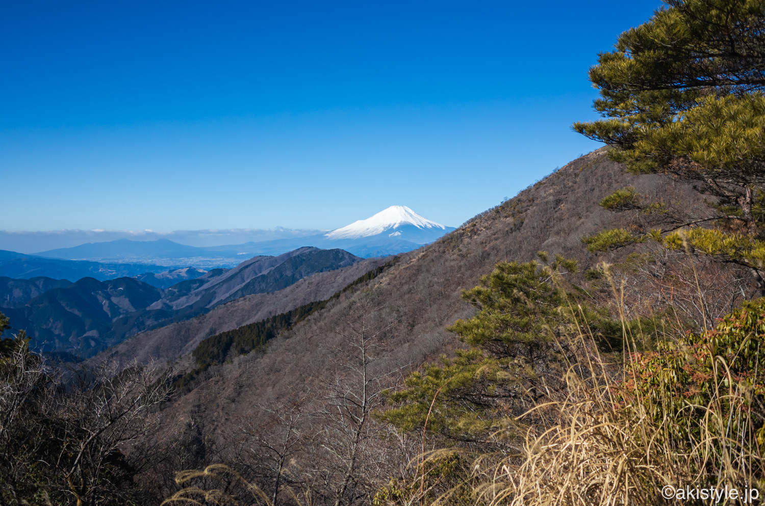 大倉尾根から富士山