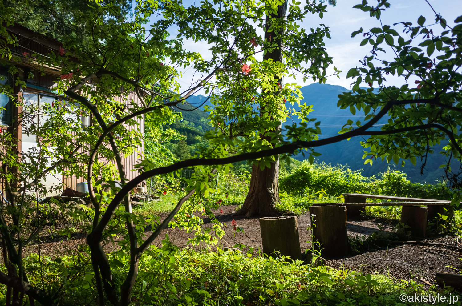 大倉尾根登山道