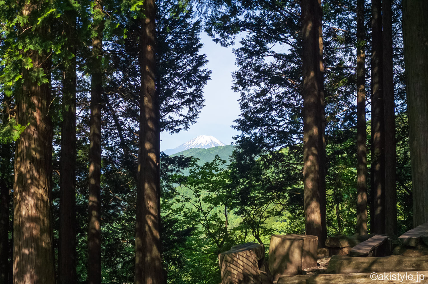 堀山の家からの見る富士山