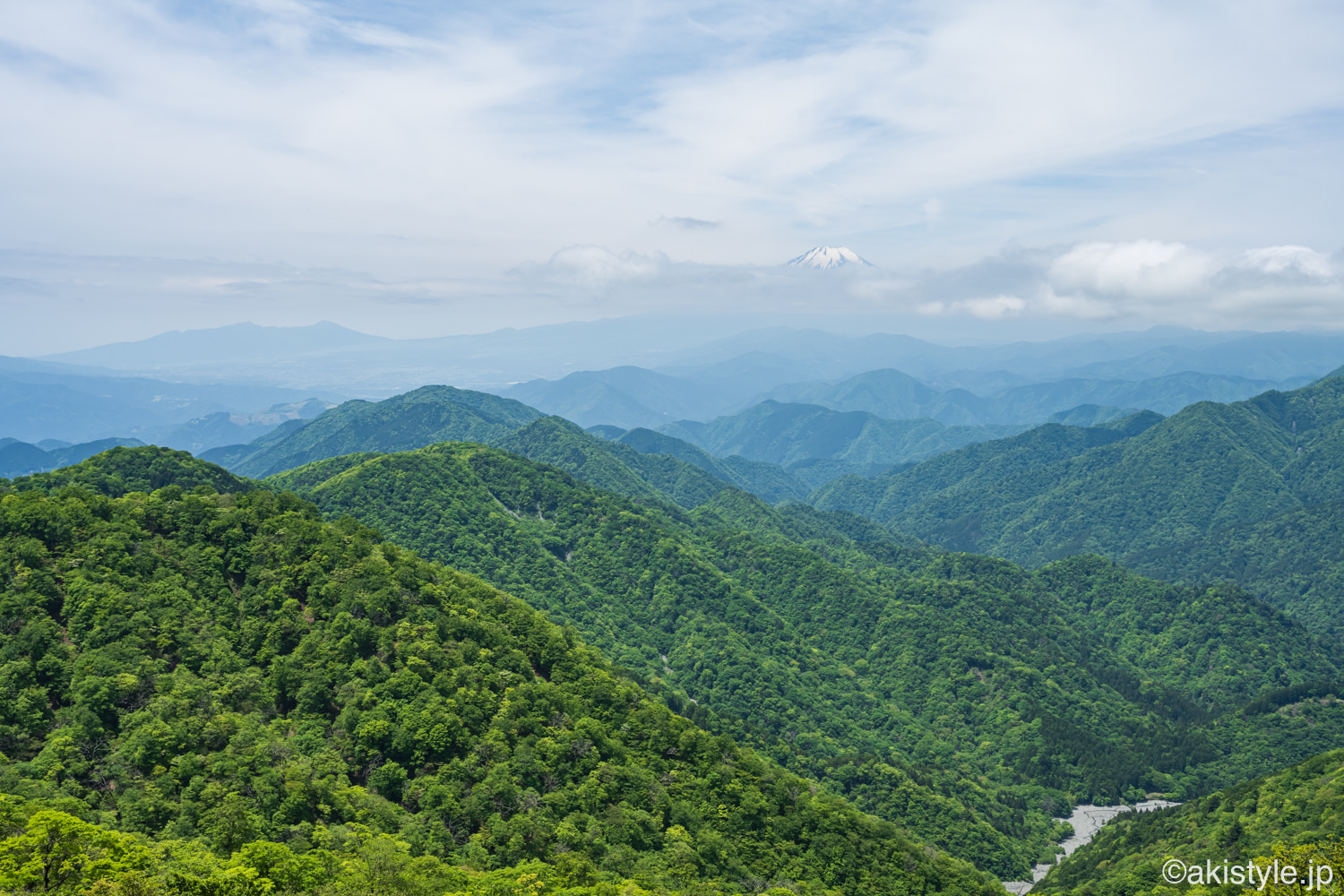 塔ノ岳の新緑と富士山