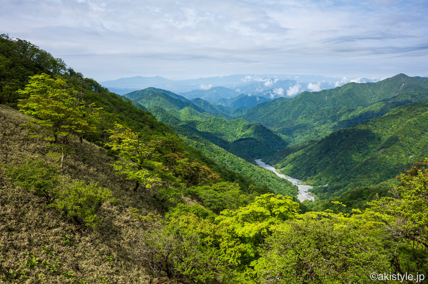 新緑の丹沢山地