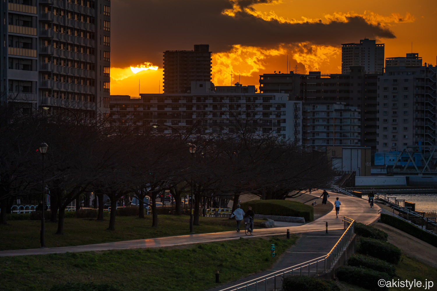 東京からのダイヤモンド富士