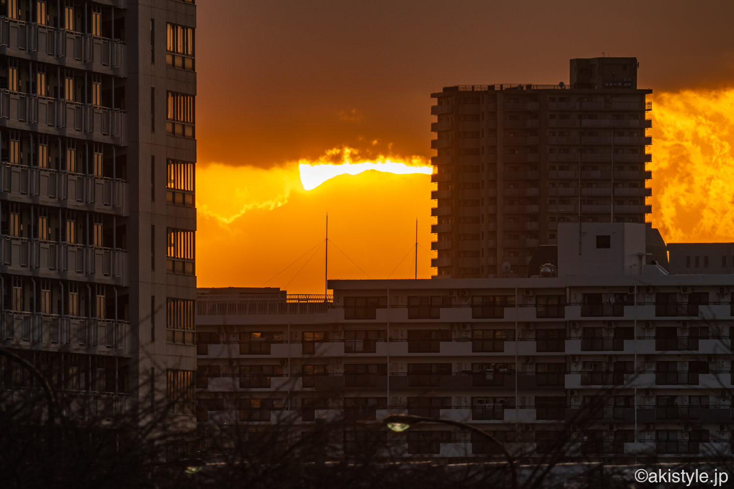 東京からのダイヤモンド富士